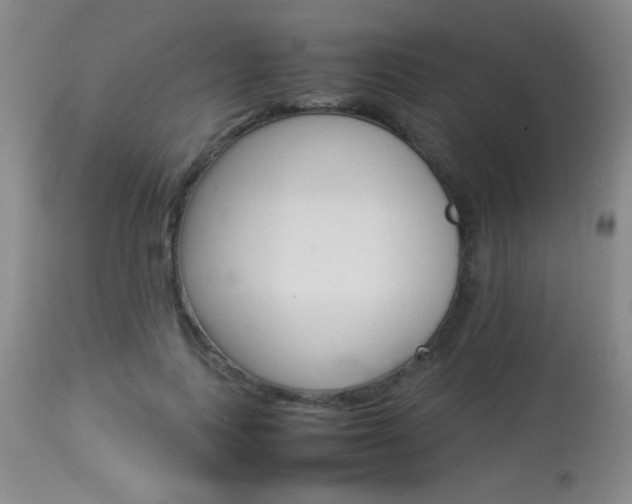 X0000113930743200909250915