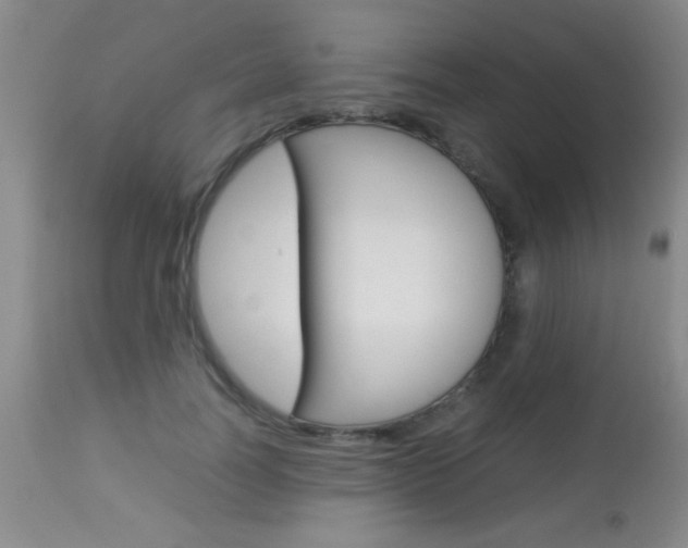X0000113930746200909250915