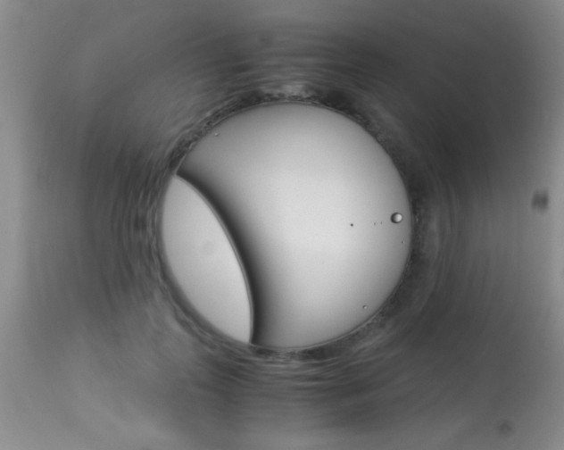X0000113930747200909250916
