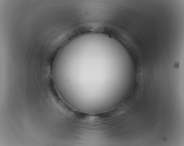 X0000113930748200909250916