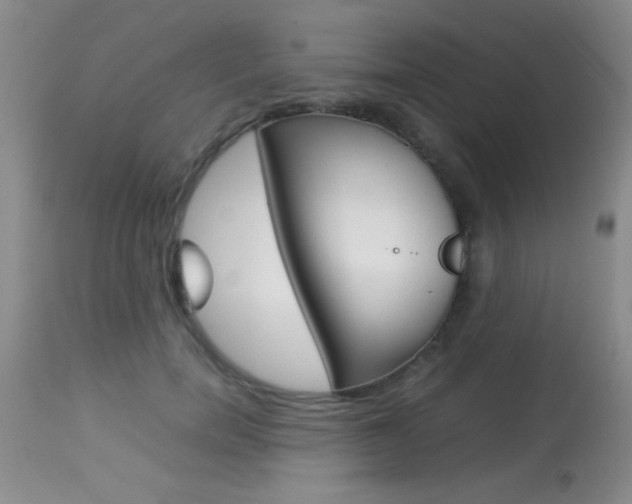 X0000113930750200909250916