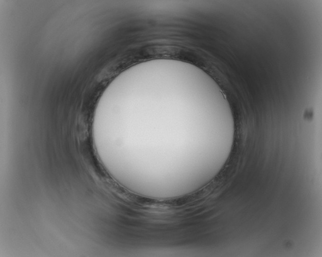X0000113930751200909250916
