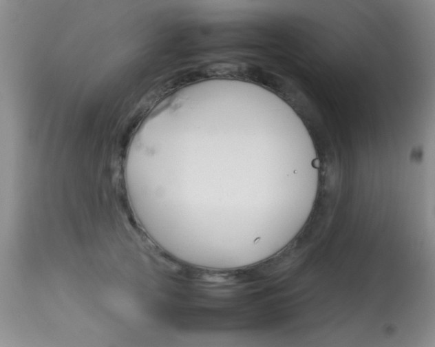 X0000113930753200909250916
