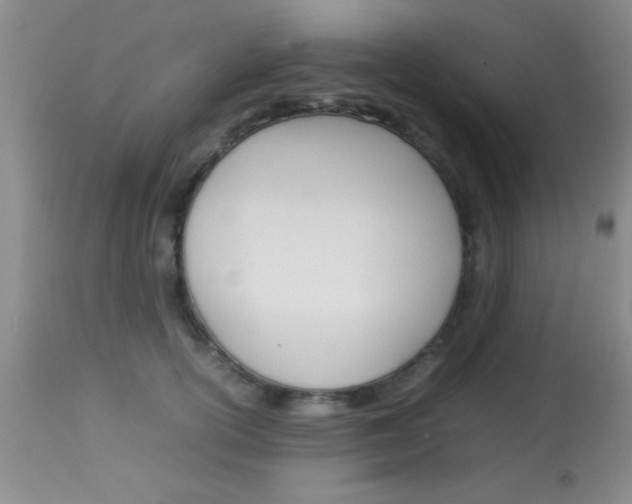 X0000113930754200909250916