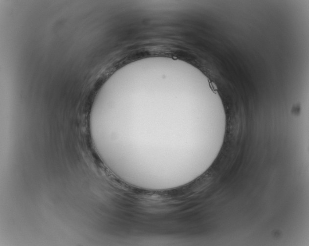 X0000113930755200909250916