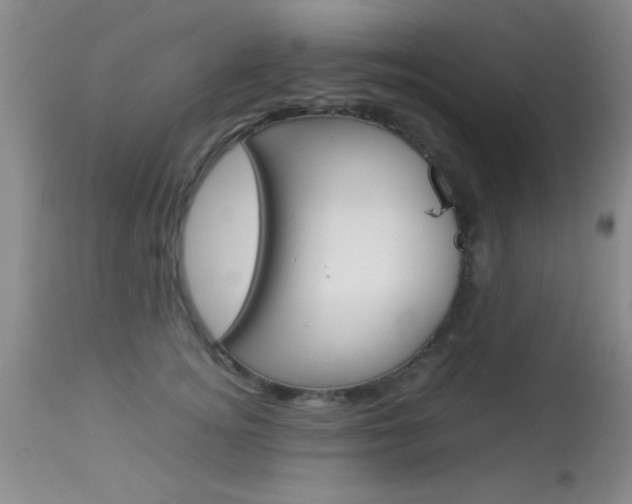X0000113930756200909250916