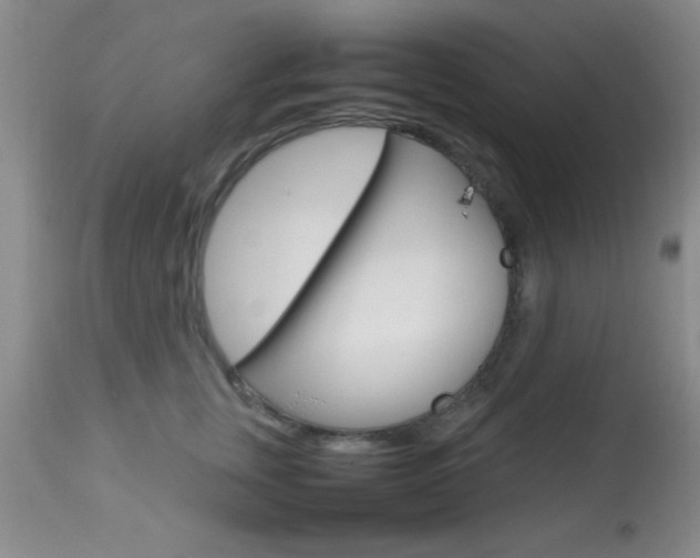 X0000113930759200909250916