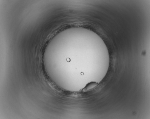 X0000113930760200909250916