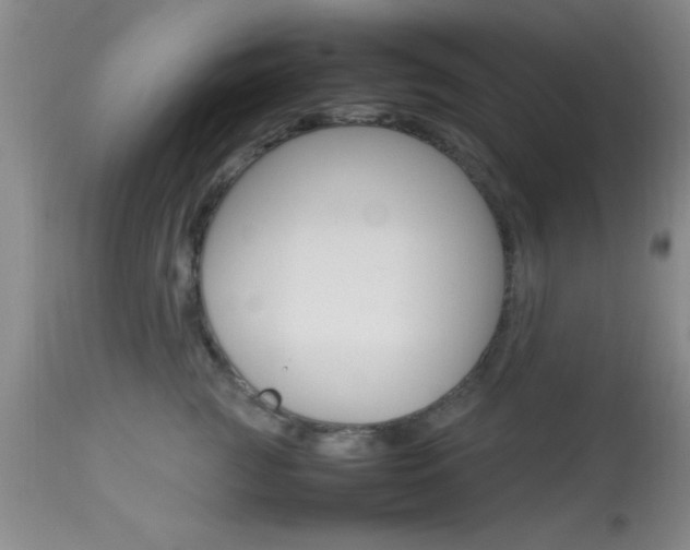 X0000113930761200909250916