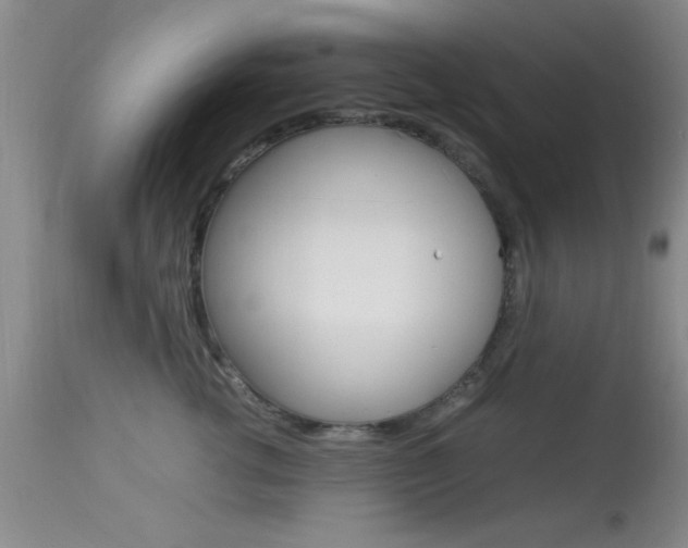 X0000113930762200909250916