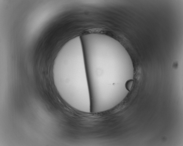 X0000113930763200909250916