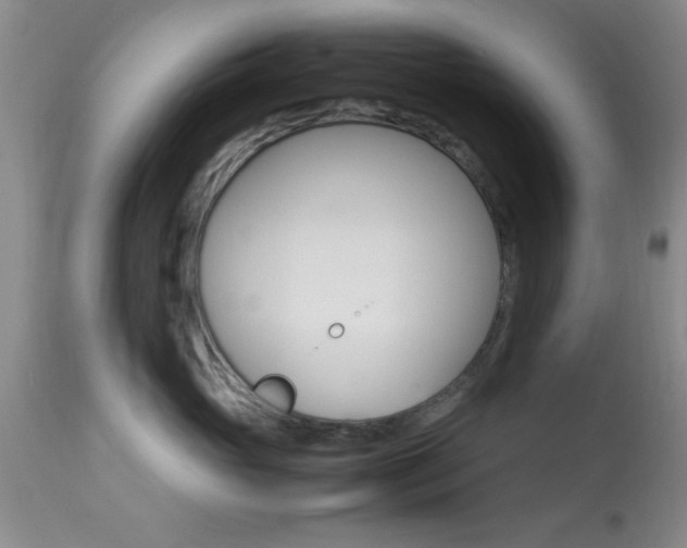 X0000113930765200909250916
