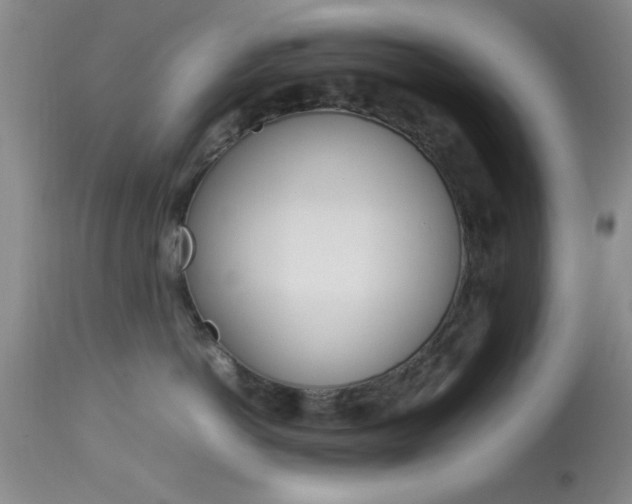 X0000113930766200909250916