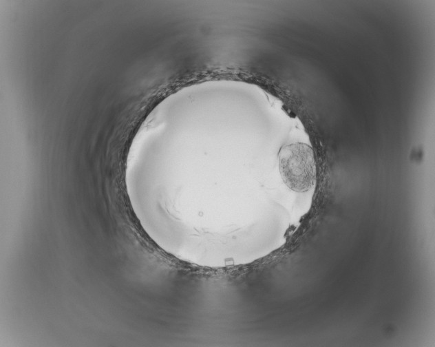 X0000113930769200909250915