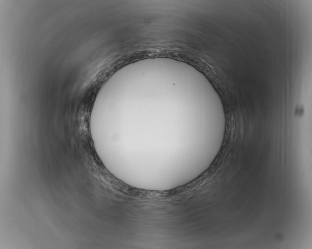 X0000113930770200909250915