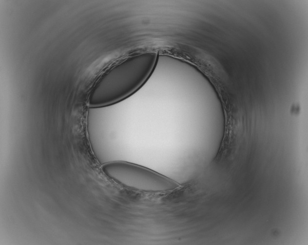X0000113930773200909250915