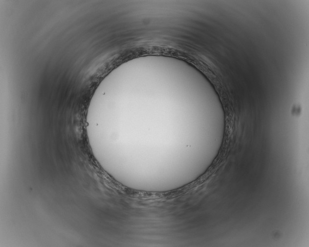 X0000113930774200909250915
