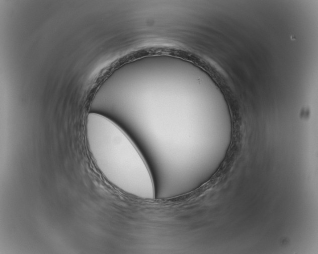 X0000113930775200909250915