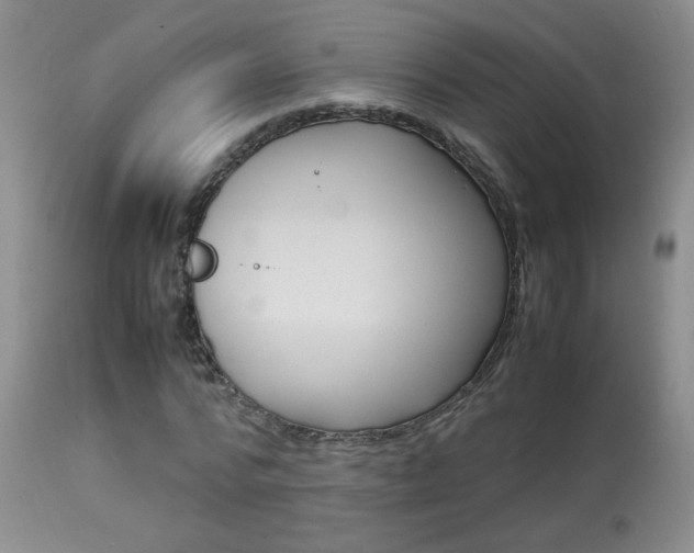 X0000113930776200909250915