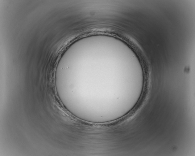 X0000113930777200909250915