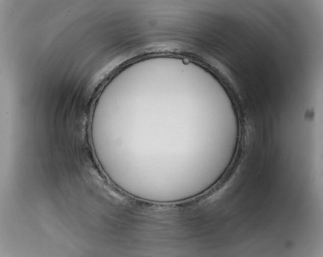 X0000113930778200909250915