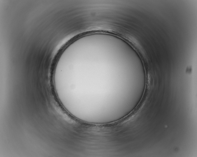 X0000113930780200909250915