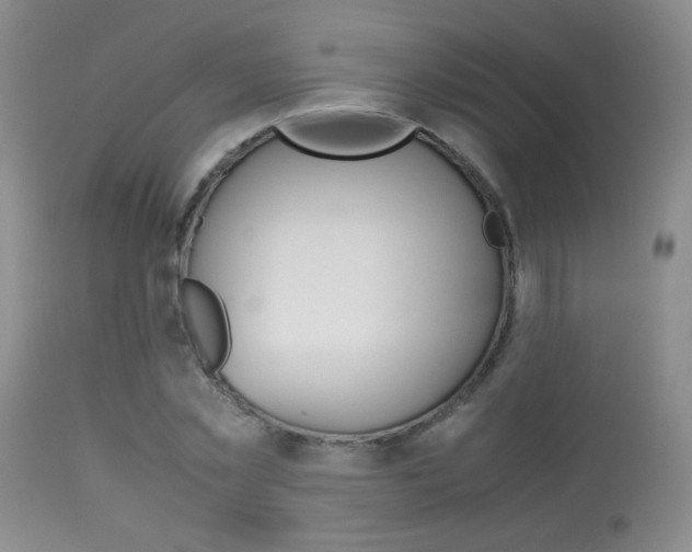 X0000113930781200909250915