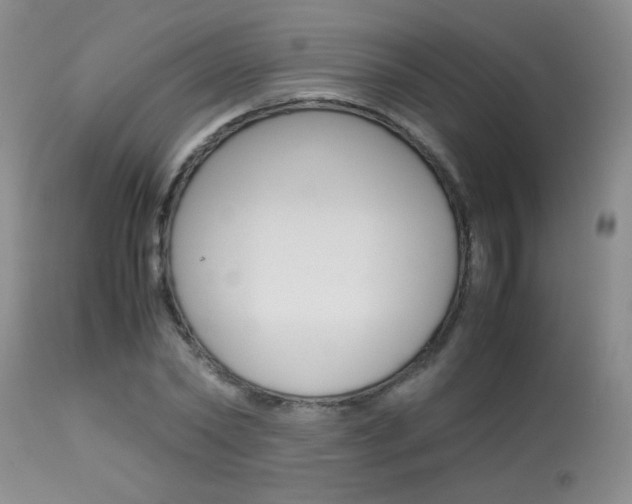 X0000113930782200909250915