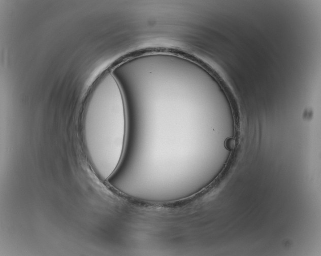 X0000113930783200909250915