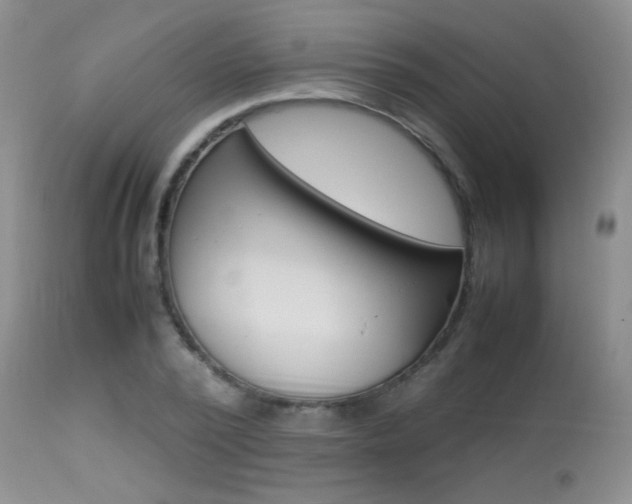 X0000113930784200909250915