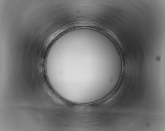 X0000113930786200909250915