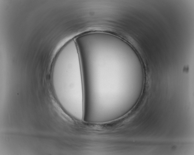 X0000113930787200909250915
