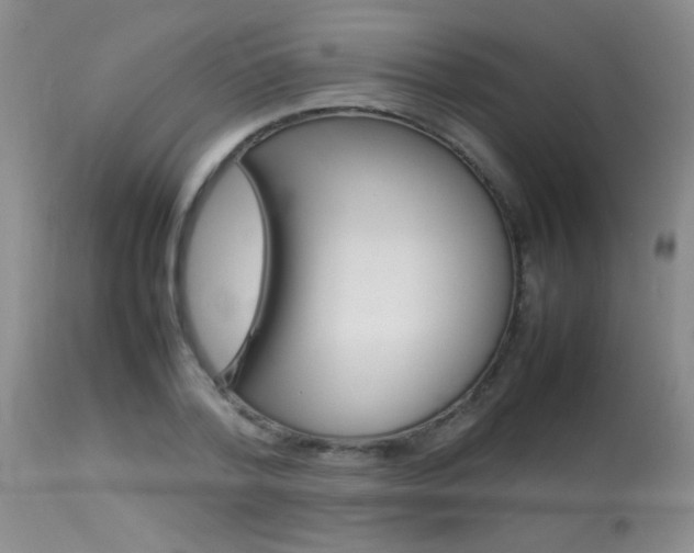 X0000113930788200909250915