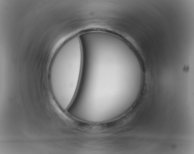 X0000113930791200909250915