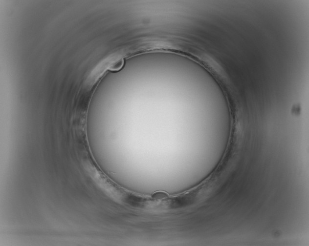 X0000113930793200909250914
