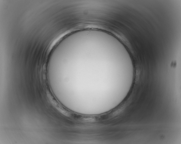 X0000113930798200909250914