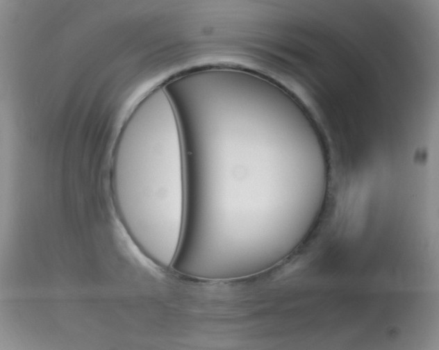 X0000113930799200909250914