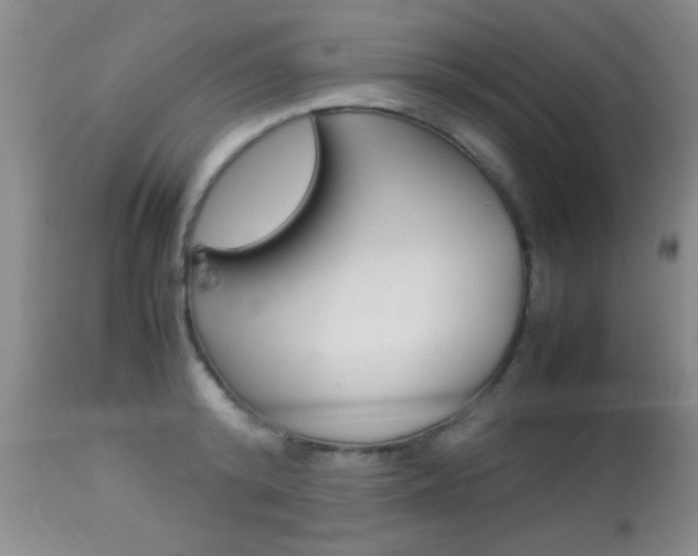 X0000113930800200909250914