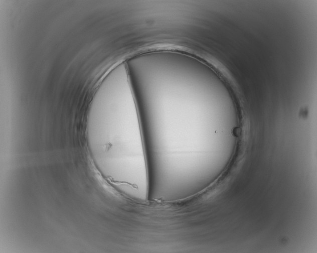 X0000113930801200909250914