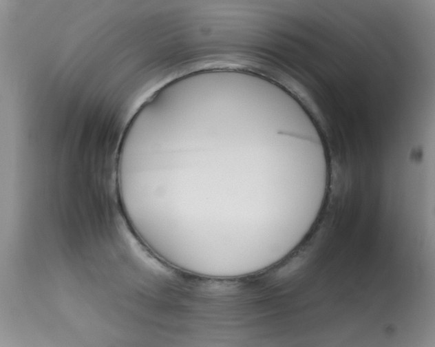 X0000113930802200909250914