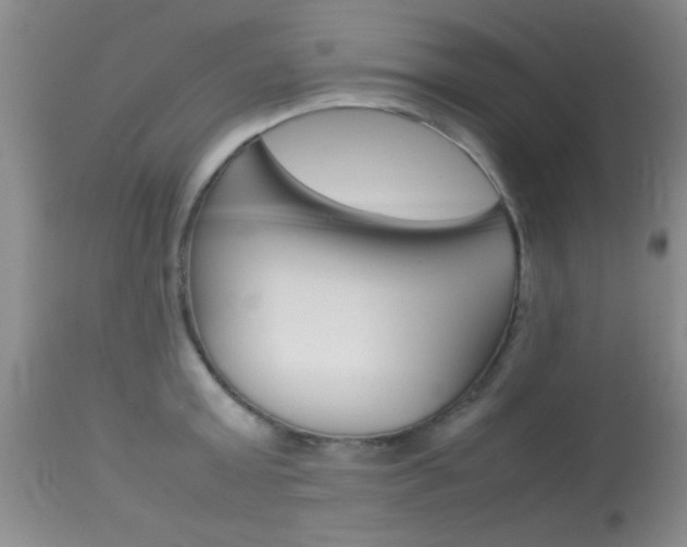 X0000113930803200909250914