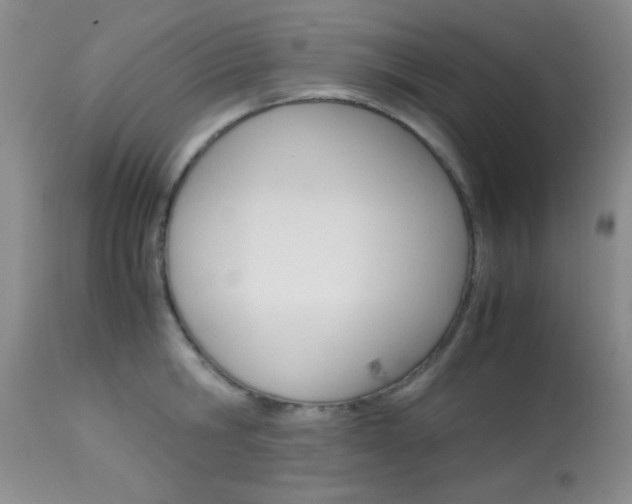 X0000113930806200909250914