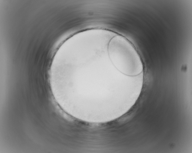 X0000113930807200909250914