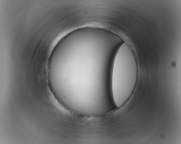 X0000113930808200909250914