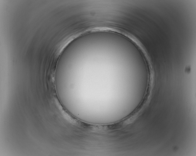 X0000113930809200909250914