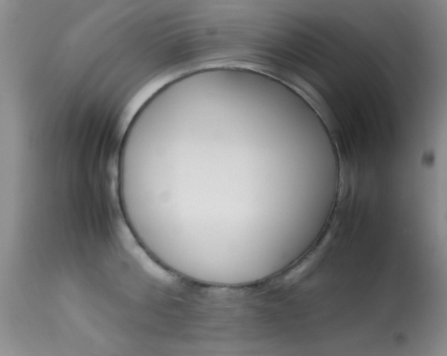 X0000113930812200909250914
