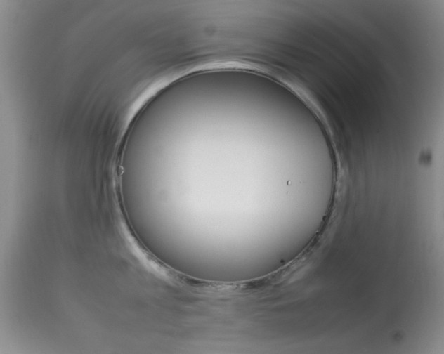 X0000113930813200909250914