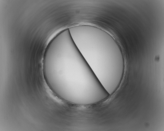 X0000113930814200909250914