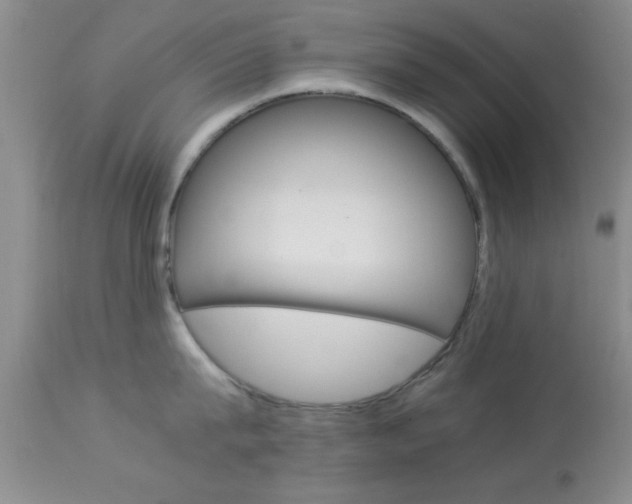 X0000113930815200909250914