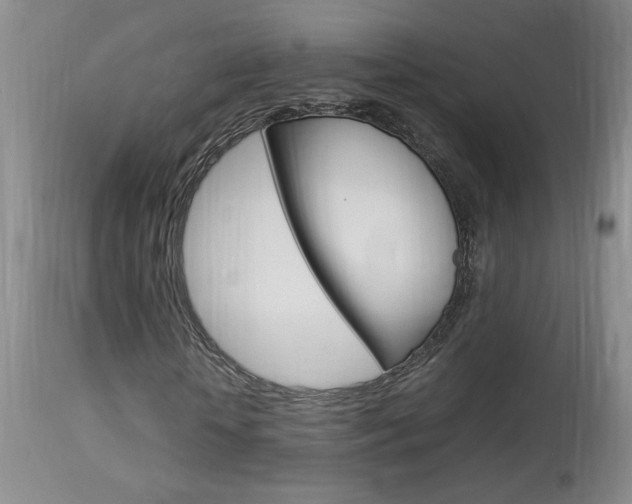 X0000113930818200909250913